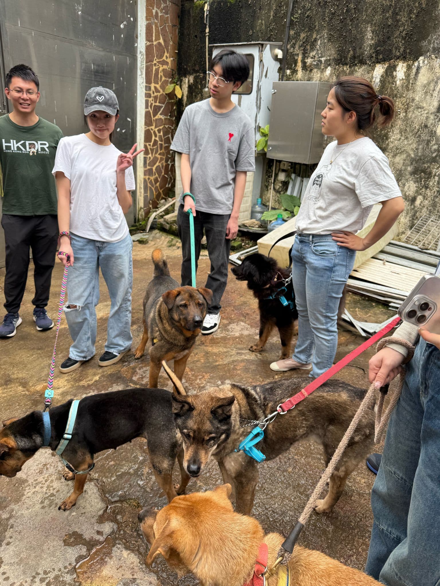 HKDR Volunteering Experience - Image 5