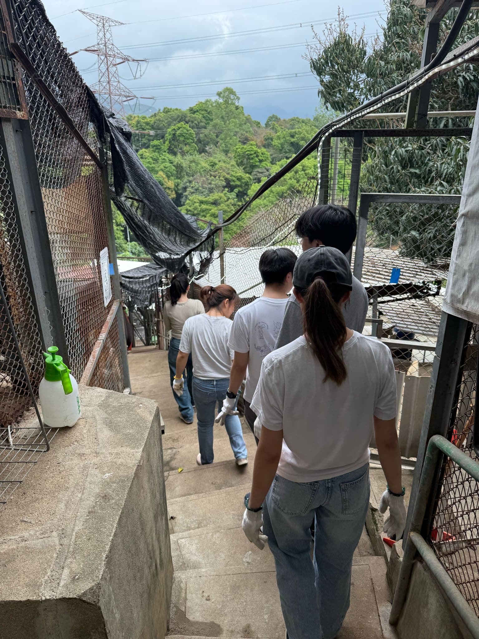 HKDR Volunteering Experience - Image 2