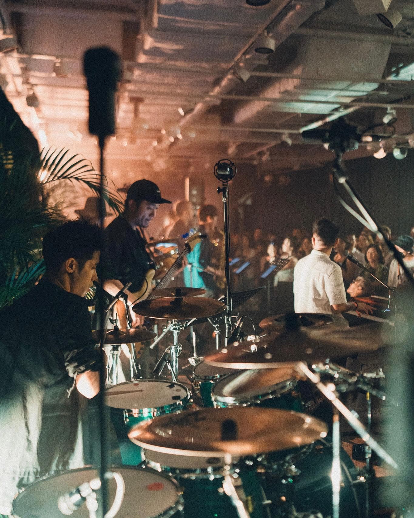 House Party - Jerold & Friends - Image 3
